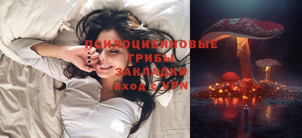 ПСИЛОЦИБИНОВЫЕ ГРИБЫ Аркадак