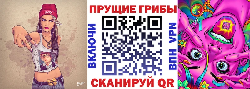 Псилоцибиновые грибы MAGIC MUSHROOMS  Заречный 