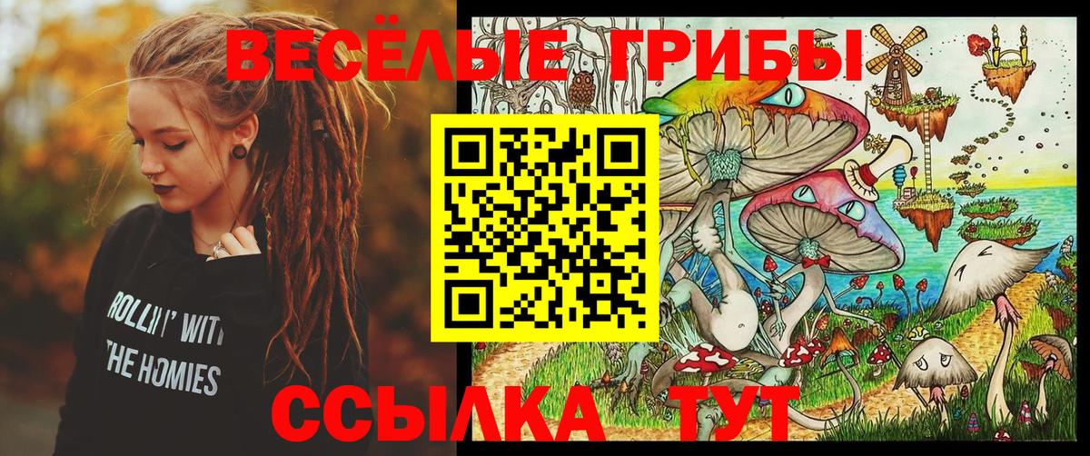 Псилоцибиновые грибы Psilocybine cubensis Заречный