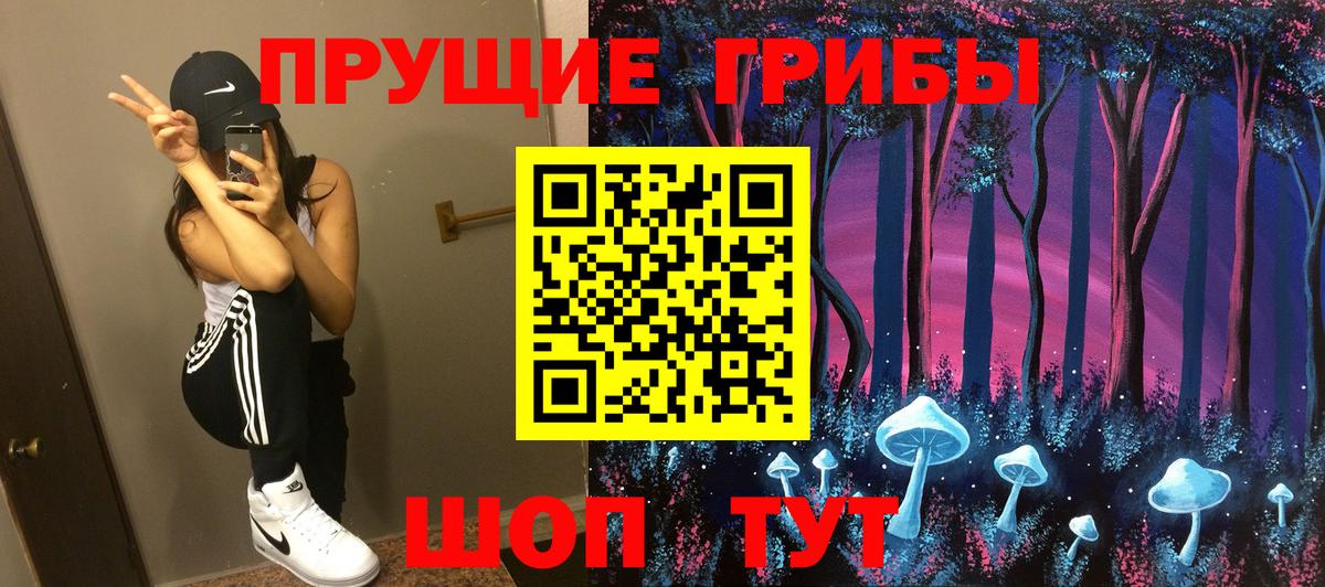 Псилоцибиновые грибы Psilocybine cubensis  Вход с VPN  Заречный 